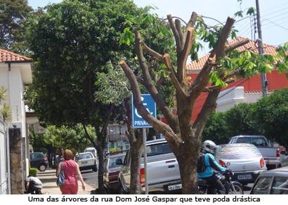 Araxá tem área verde abaixo do recomendado pela ONU