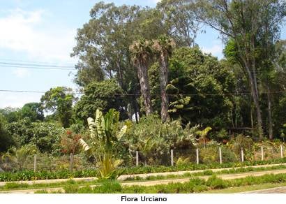 Semana Florestal destaca educação ambiental