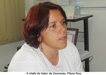 Setor de Zoonoses em alerta contra o mosquito da dengue