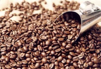 IMA planeja certificar 800 propriedades de café em 2009