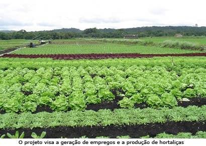 Câmara aprova projeto que institui a criação do programa Cinturão Verde