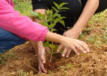 Caic recebe 200 mudas de árvores do Projeto Verde Vida