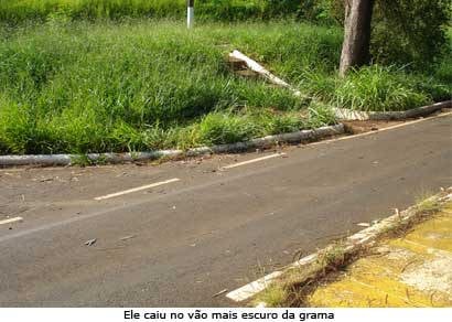 Jardineiro morre em acidente no Barreirinho