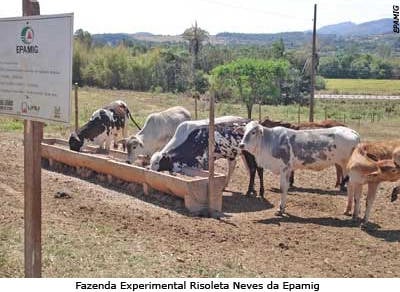 Epamig aprova duas áreas para implantar fazenda experimental em Araxá