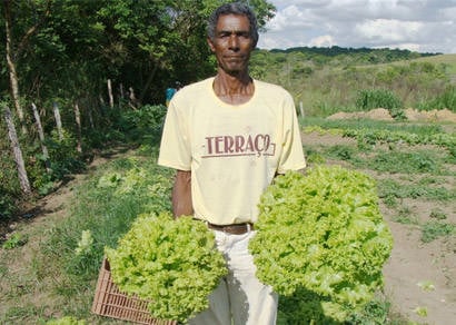 Novo grupo de agricultores inicia atividades no Cinturão Verde