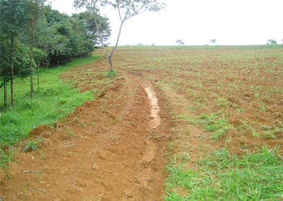 Exploração ilegal de florestas em Araxá e Perdizes é combatida pela PM