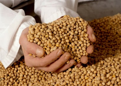 Volume exportado pelo agronegócio mineiro é recorde