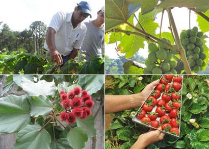 Epamig inaugura fazenda experimental de Araxá nesta quarta