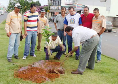Projeto de Arborização plantará 5,5 mil árvores