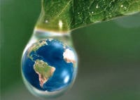 Organizações preparam cartilha para estimular jovens a preservar o meio ambiente