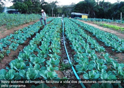 Produção pelo Cinturão Verde é expandida
