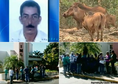 Lavrador é morto por um javali