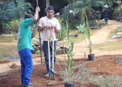 Acordo retoma trabalho do Pequeno Jardineiro em área cedida à maçonaria