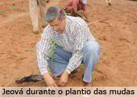 Fazenda Experimental de Araxá inicia plantio de oliveiras