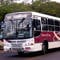 Bandidos armados assaltam ônibus no Abolição