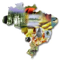 População do Brasil é de 190.732.694 pessoas