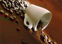 Produção de café é um dos destaques do agronegócio brasileiro em 2010