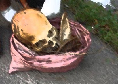 Ossada humana é encontrada no acesso ao distrito de Itaipu