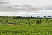 Minas já aplicou R$ 57,1 milhões em agricultura de baixo carbono