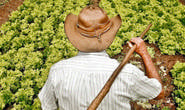 Seapa lança o Plano de Desenvolvimento da Agricultura Familiar