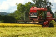 Agropecuária mineira deve faturar R$ 52,9 bi este ano