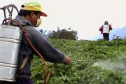Minas Gerais continua como referência na fiscalização do uso de agrotóxicos no país