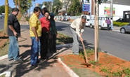 Avenida Imbiara recebe mais árvores