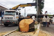 Prefeitura dá início à revitalização da avenida Senador Montandon