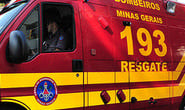 Bombeiros capturam cobras na Vila Fertiza