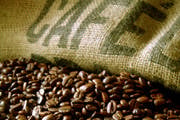 Ladrões levam sacas de café de chácara na Quinta dos Lemos