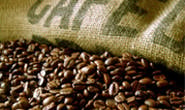Minas deve ter em 2012 a maior produção de café e grãos da história