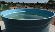 Combate à dengue precisa ser redobrado com calor e chuvas