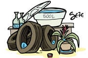Cuidados com a dengue devem ser redobrados com a chegada do Verão e dos períodos chuvosos