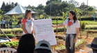 Campo Experimental “Fausto de Ávila” recebe atividades do Encontro de Campo e Intercâmbio Técnico