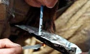 Polícia Militar prende autor de tráfico de drogas