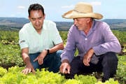 Emater-MG completa 66 anos com atendimento a 400 mil famílias de agricultores