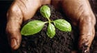 Araxá sedia Fertbio 2014 que debate fertilidade e biologia do solo