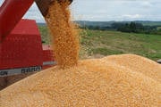 Minas Gerais bate recorde na produção de grãos