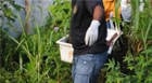 Corpo de jovem é encontrado em terreno baldio no Dona Beja