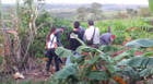 Produtor rural é encontrado morto e enterrado no quintal de casa
