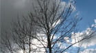 Inverno será marcado por temperaturas baixas e pouca chuva