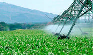 Emater orienta produtores sobre economia de água na irrigação