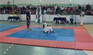 Quarta edição do Open de Jiu-Jitsu movimenta a cidade