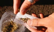 Adolescentes são flagrados com maconha na rua Pará
