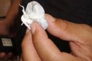 Adolescente é detido com maconha no São Domingos