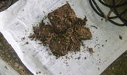Avó encontra maconha no quarto da neta