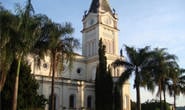 FCCB se manifesta sobre comentários de corte de árvores na praça da Matriz