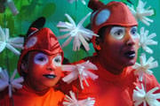 O Teatro Municipal de Araxá convida para “Nemo, o musical”