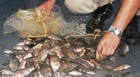 PM de Meio Ambiente prende dois homens por pesca predatória no Lago Norte