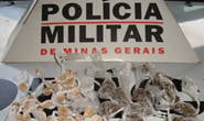 Polícia Militar prende diversas pessoas envolvidas com o tráfico